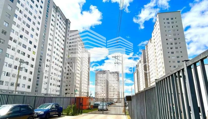 imagem-miniatura